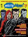 (image for) Write Now! 13